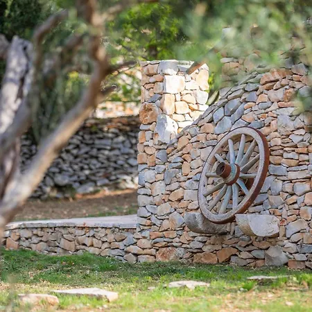 Villa Viva Brac - Pool - Meerblick *